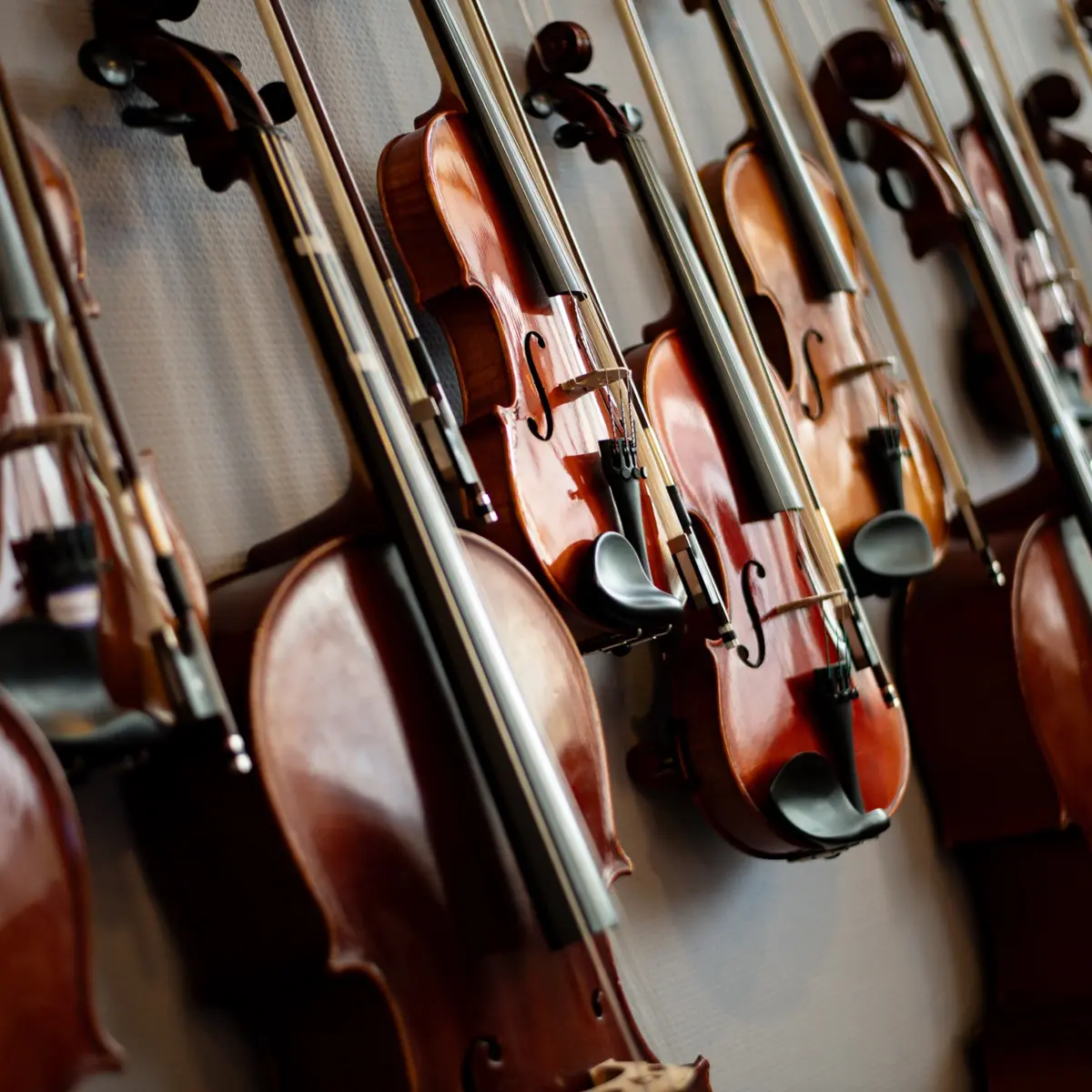Eine Auswahl von Violinen, Violen und Violoncelli mit Bögen